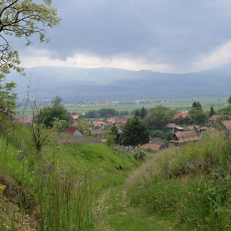 Birdsong Cottage - Peaceful Country Retreat Păuleni-Ciuc Exterior foto