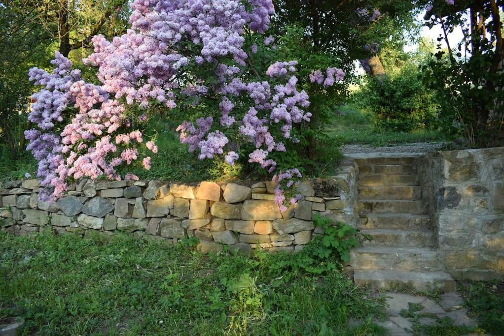 Birdsong Cottage - Peaceful Country Retreat Păuleni-Ciuc Exterior foto