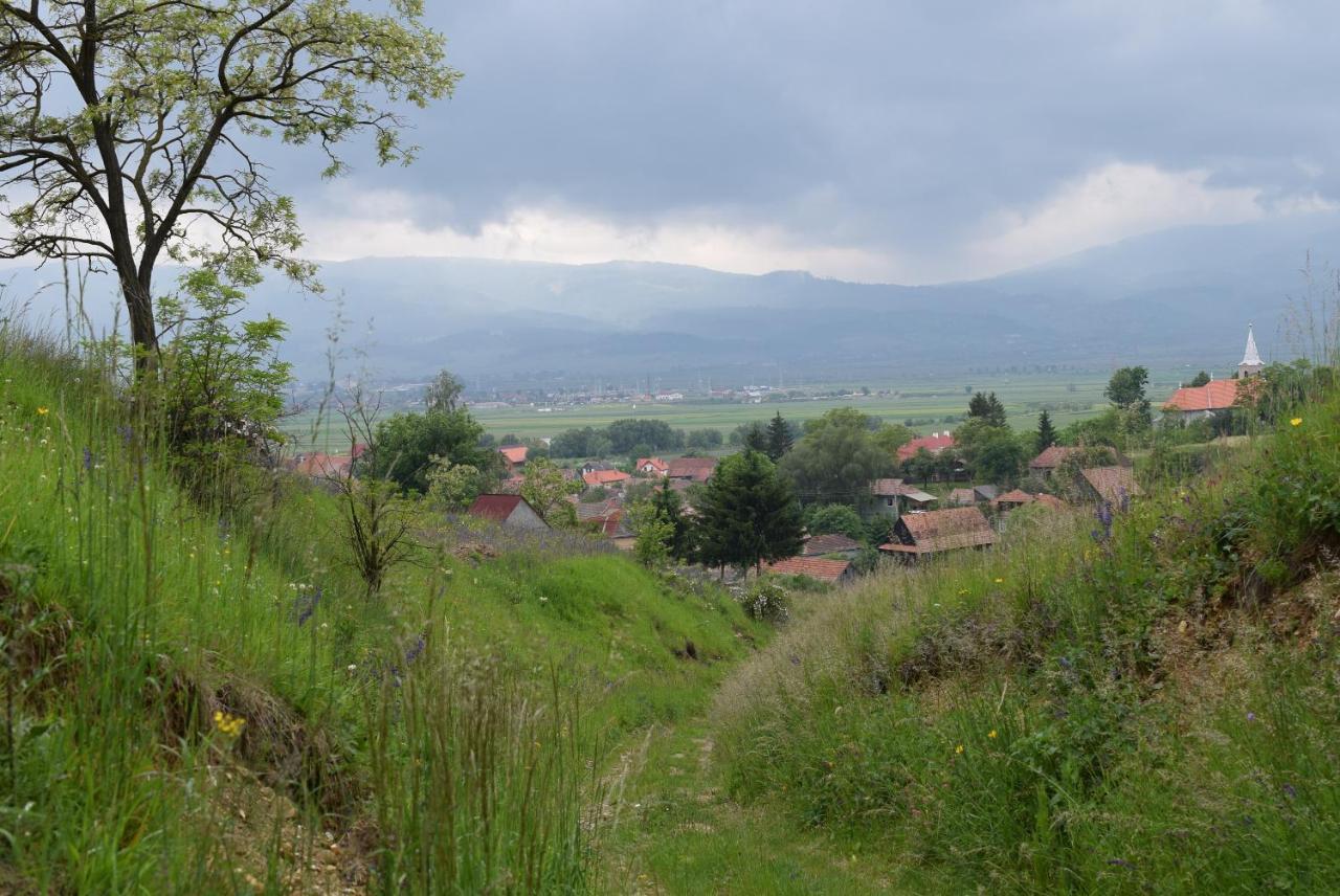 Birdsong Cottage - Peaceful Country Retreat Păuleni-Ciuc Exterior foto